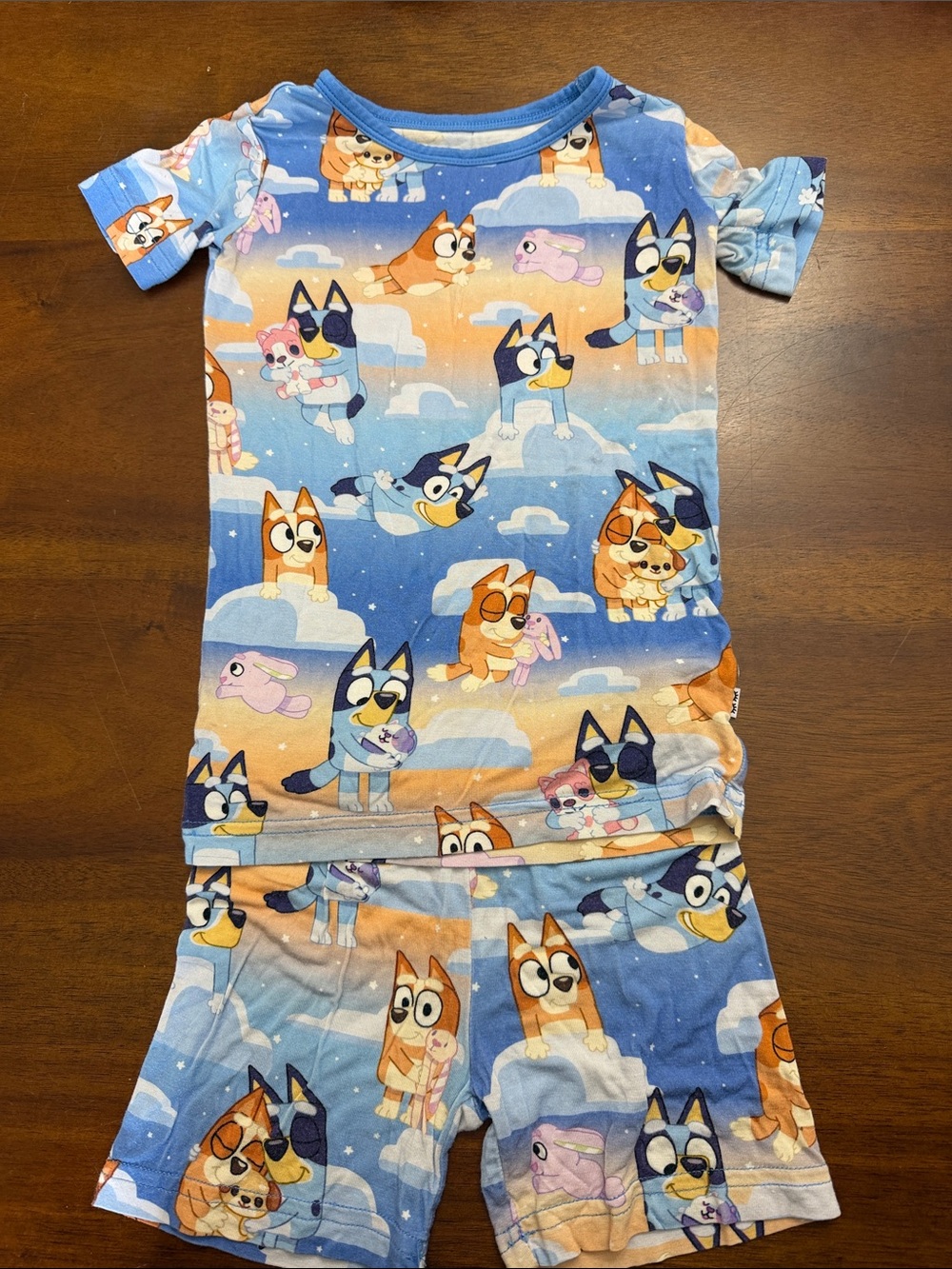 Little Sleepies Blue and Orange Cartoon Puppy Pajama Set
